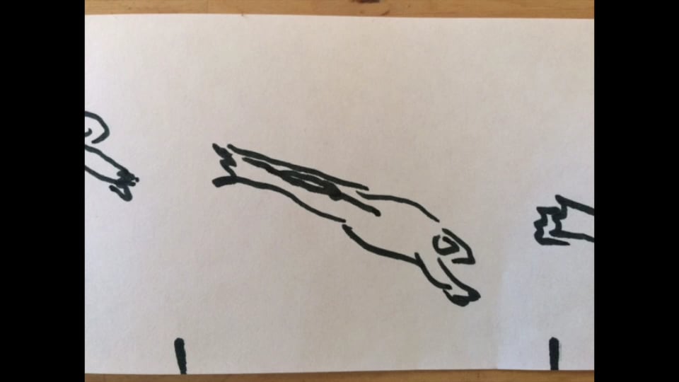 frog zoetrope animation on Vimeo