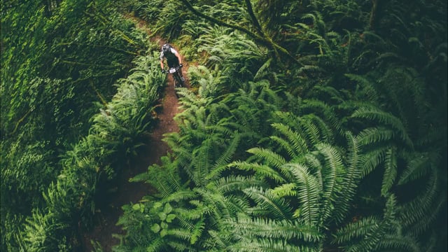 10 Years of BC Bike Race from BC Bike Race