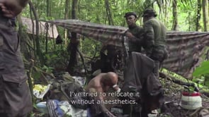 UNE FRONTIÈRE DANS LA JUNGLE