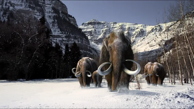 Titans of the Ice Age 3D - Putnam Museum