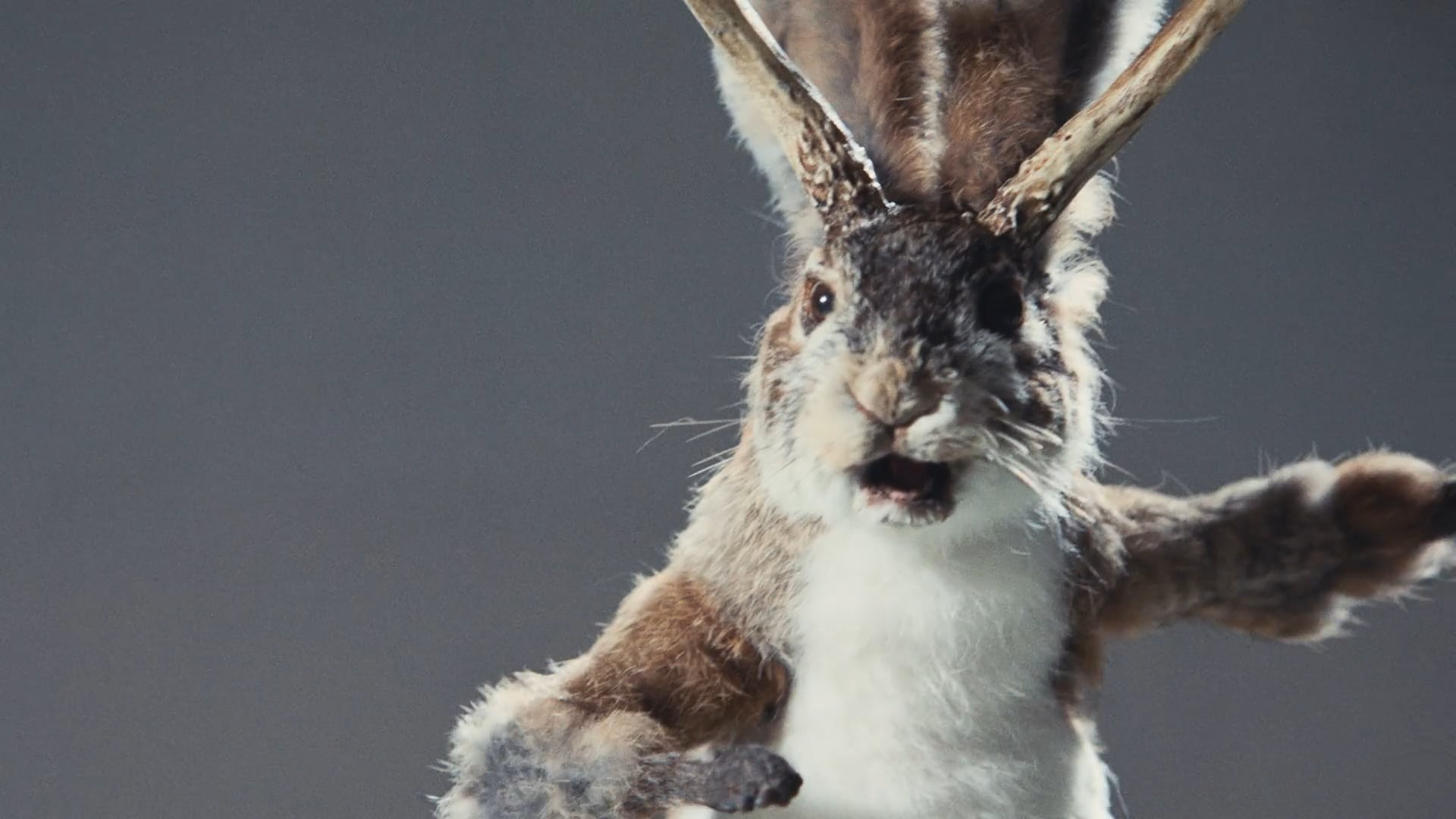 Lunchables 2016 Karate