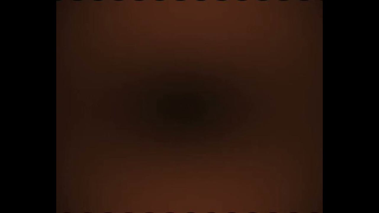 Animation Shortfilm "Paraiso."