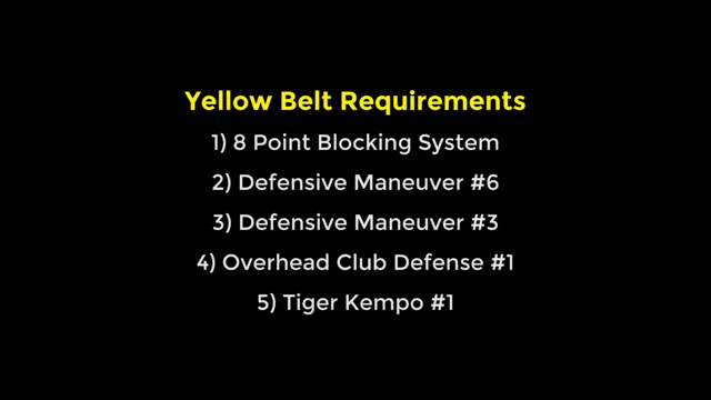 Kenpo Yellow Belt Requirements