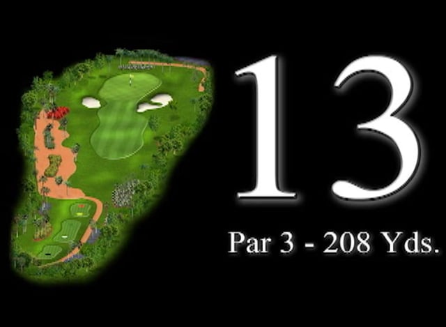 13