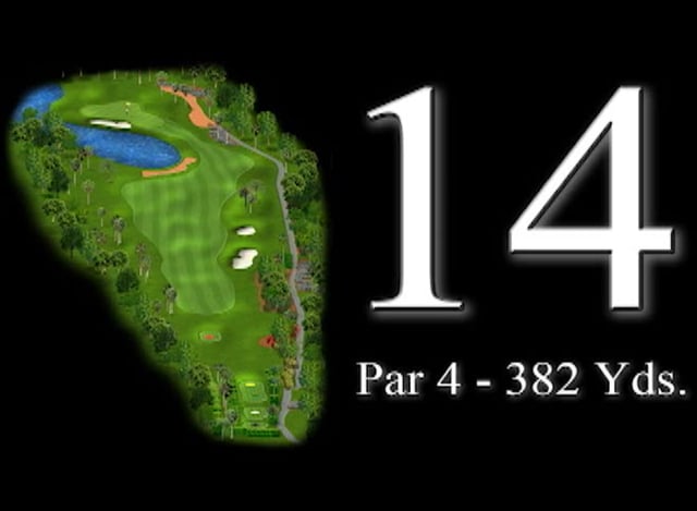 14