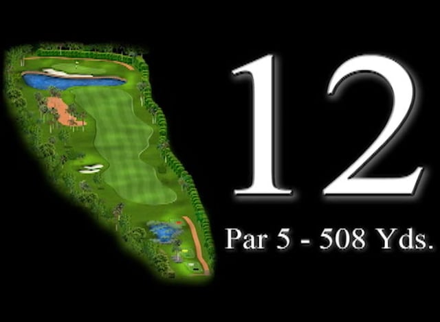 12