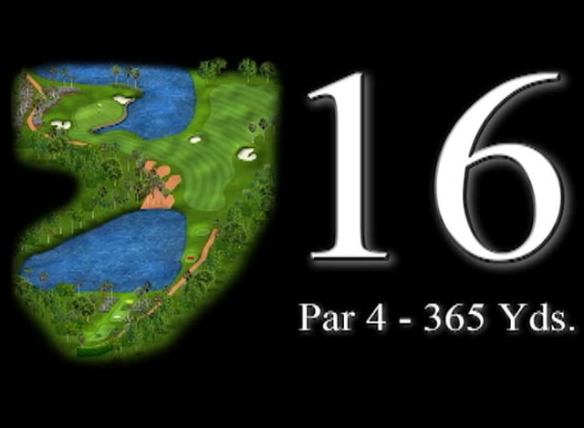 16