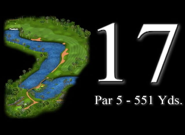 17