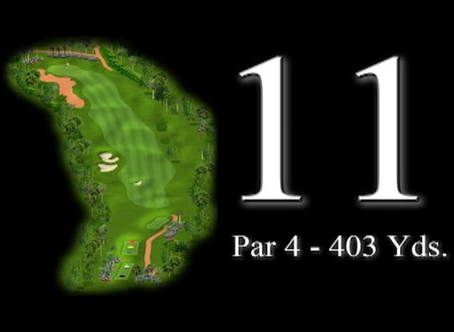 11