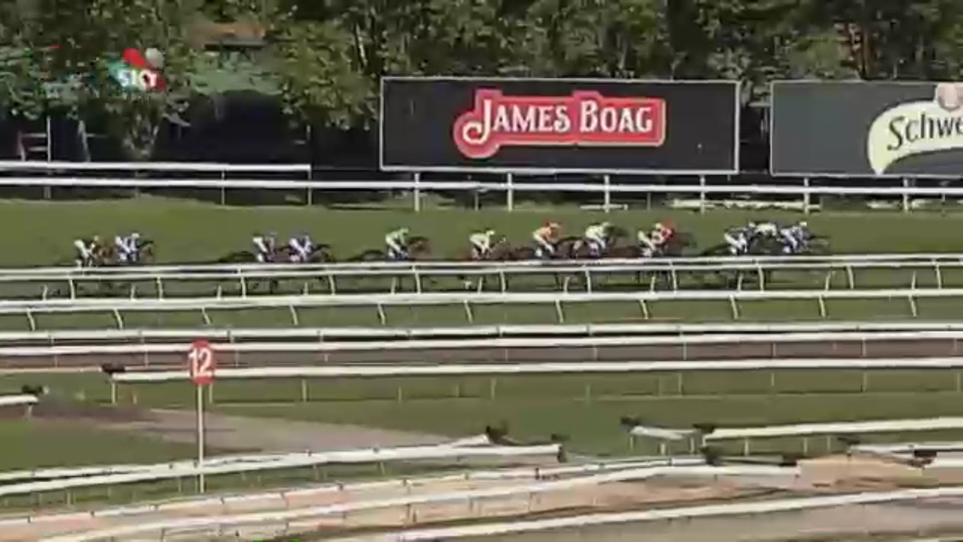 Complacent - Spring Champion Stakes