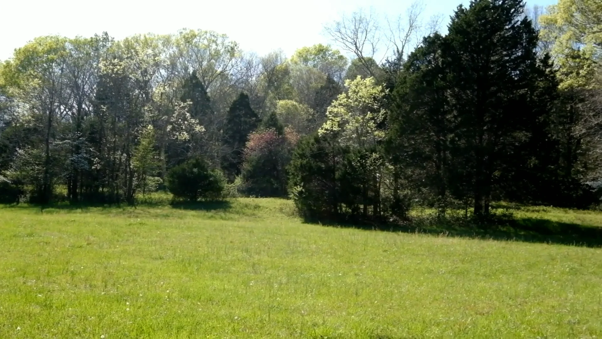 9714 Split Log Road Brentwood TN on Vimeo