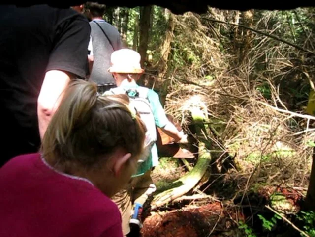 UBC Farm tour With Young Naturalist Club Members