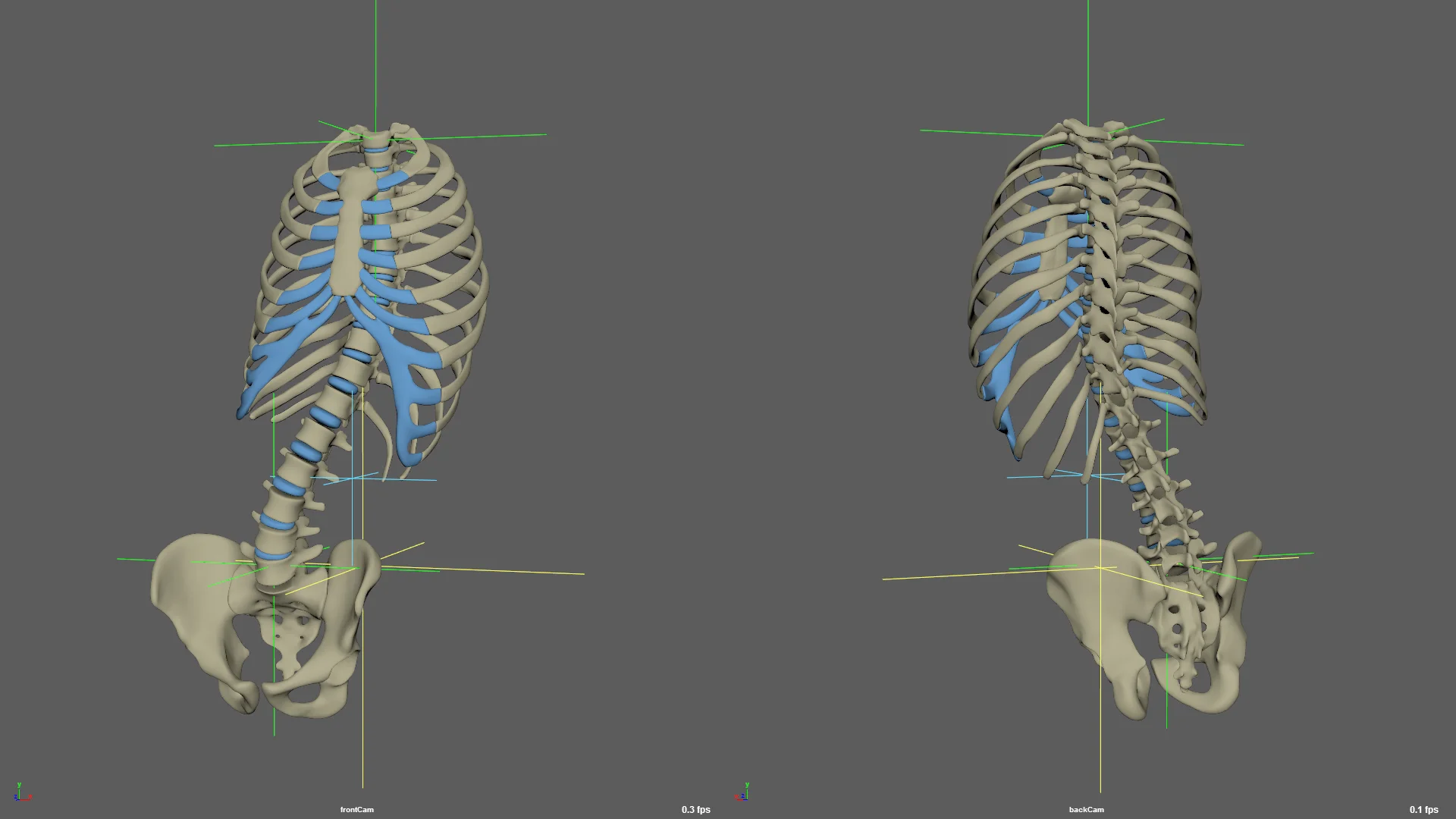 Realistic ribbon spine setup on Vimeo