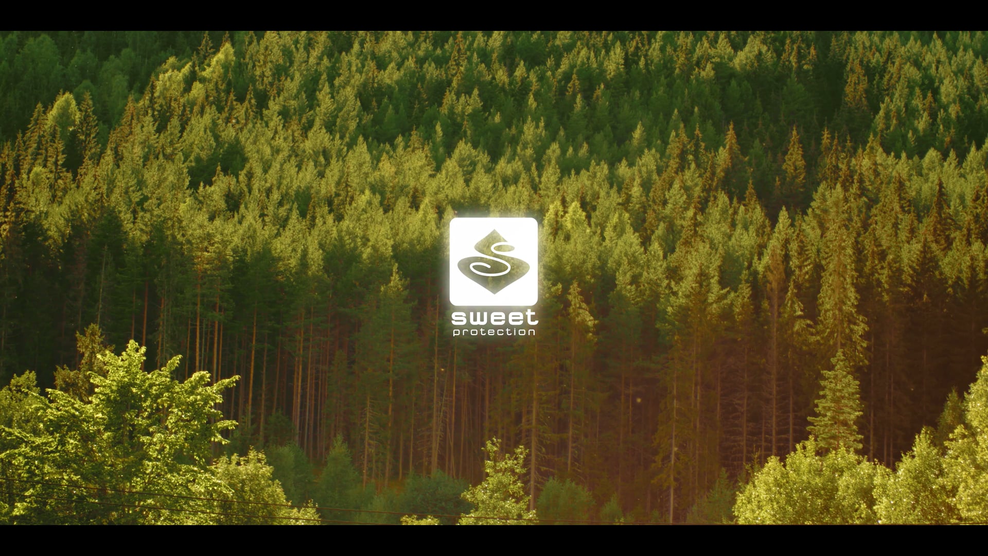 Sweet Protection - Another day