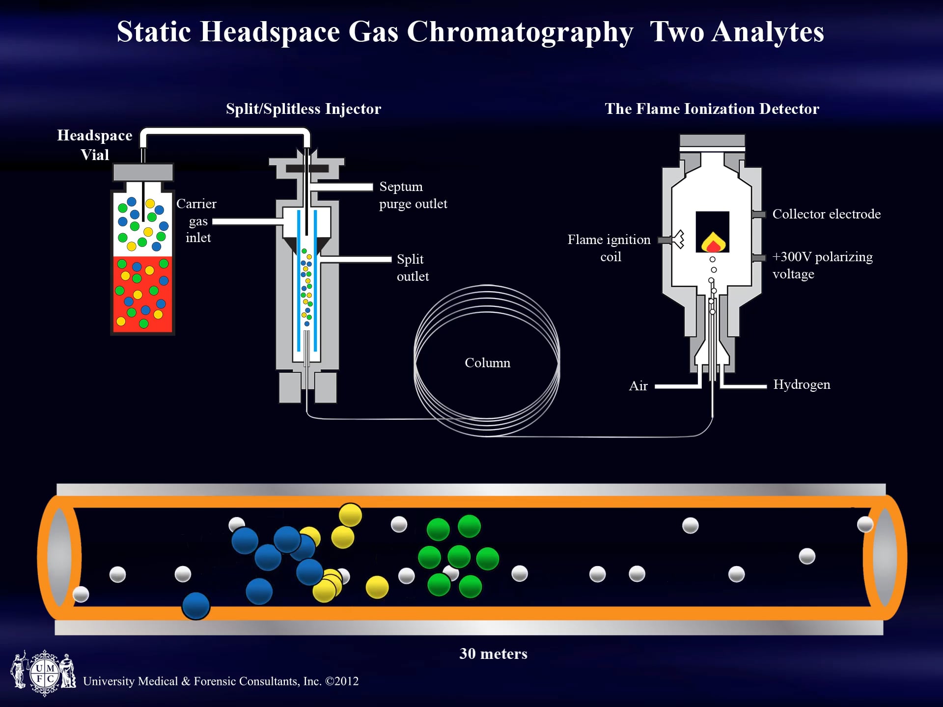 SINGLE GC COLUMN FID TWO ANALYTES AND INJECTION MGMT V1.03 9-17-2012 MP4