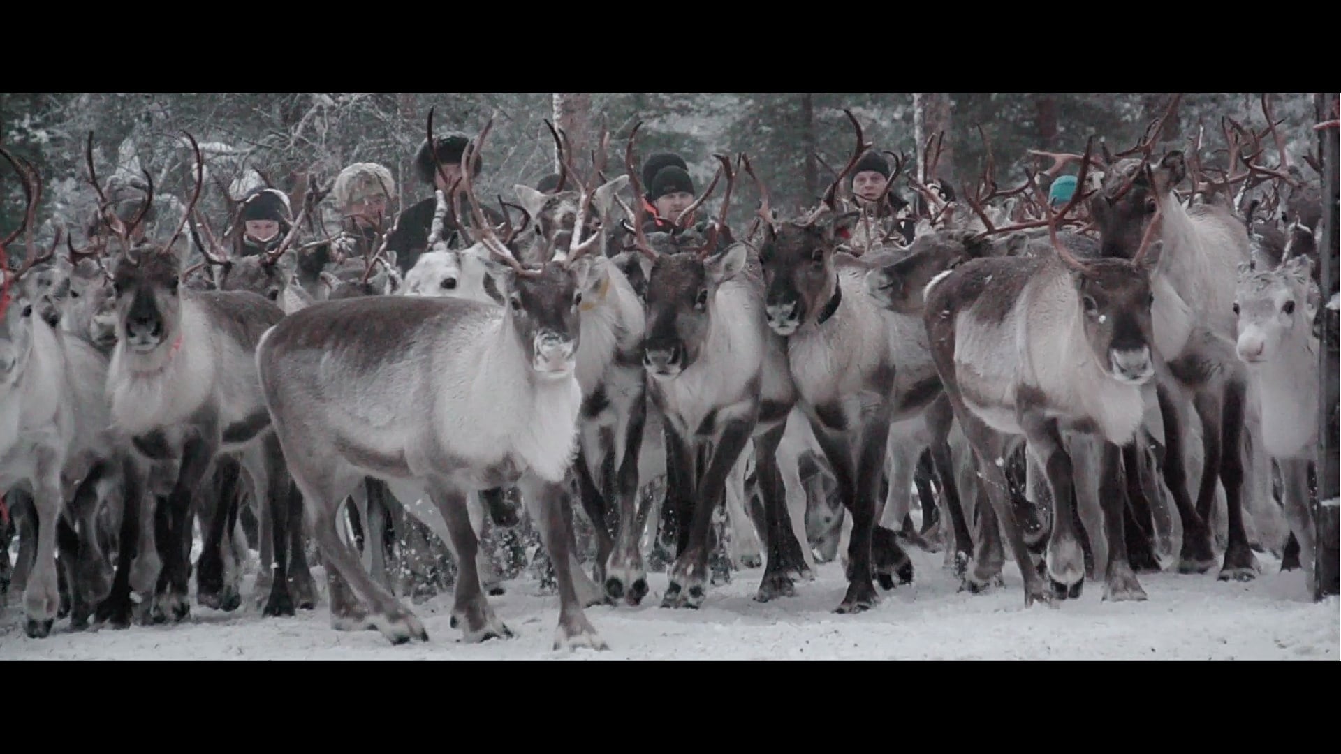 Mining threatens Lapland nature Mini documentary on Vimeo