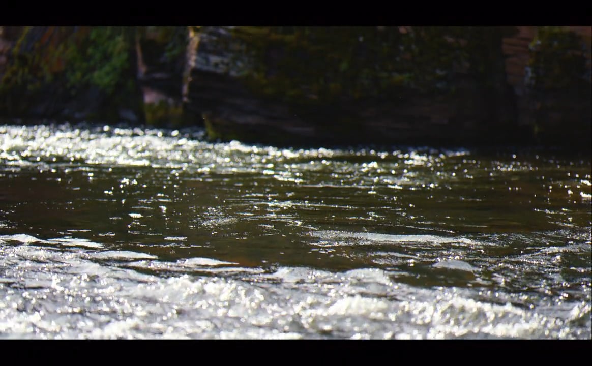 梶原吉広のおすすめ「フライフィッシングの動画」 on Vimeo