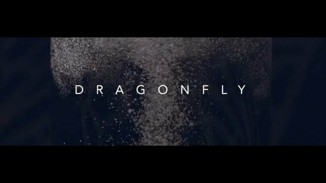 Dragonfly - Carl Greene - 2016