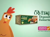 Orvital Organic Egg