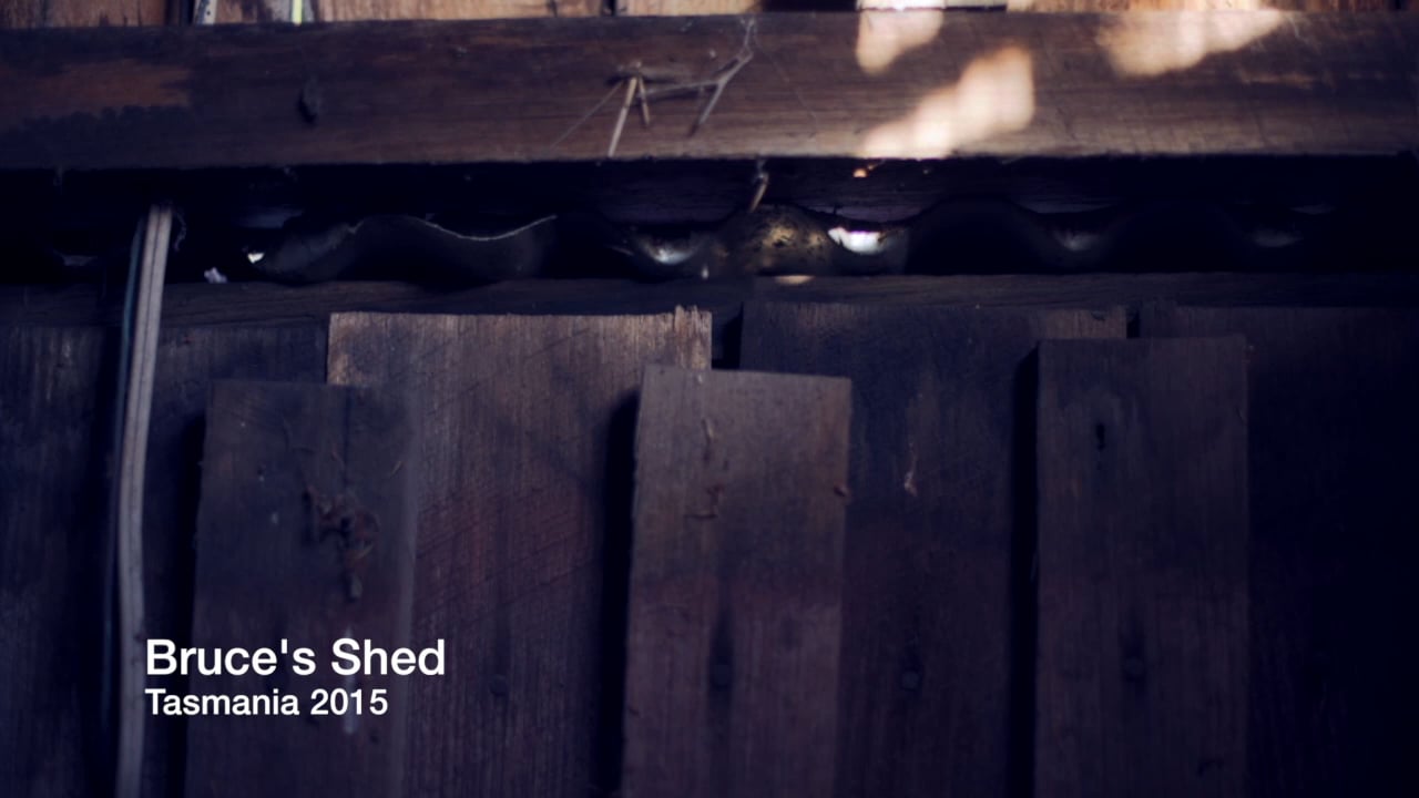 Scenes from "Bruce's Shed"