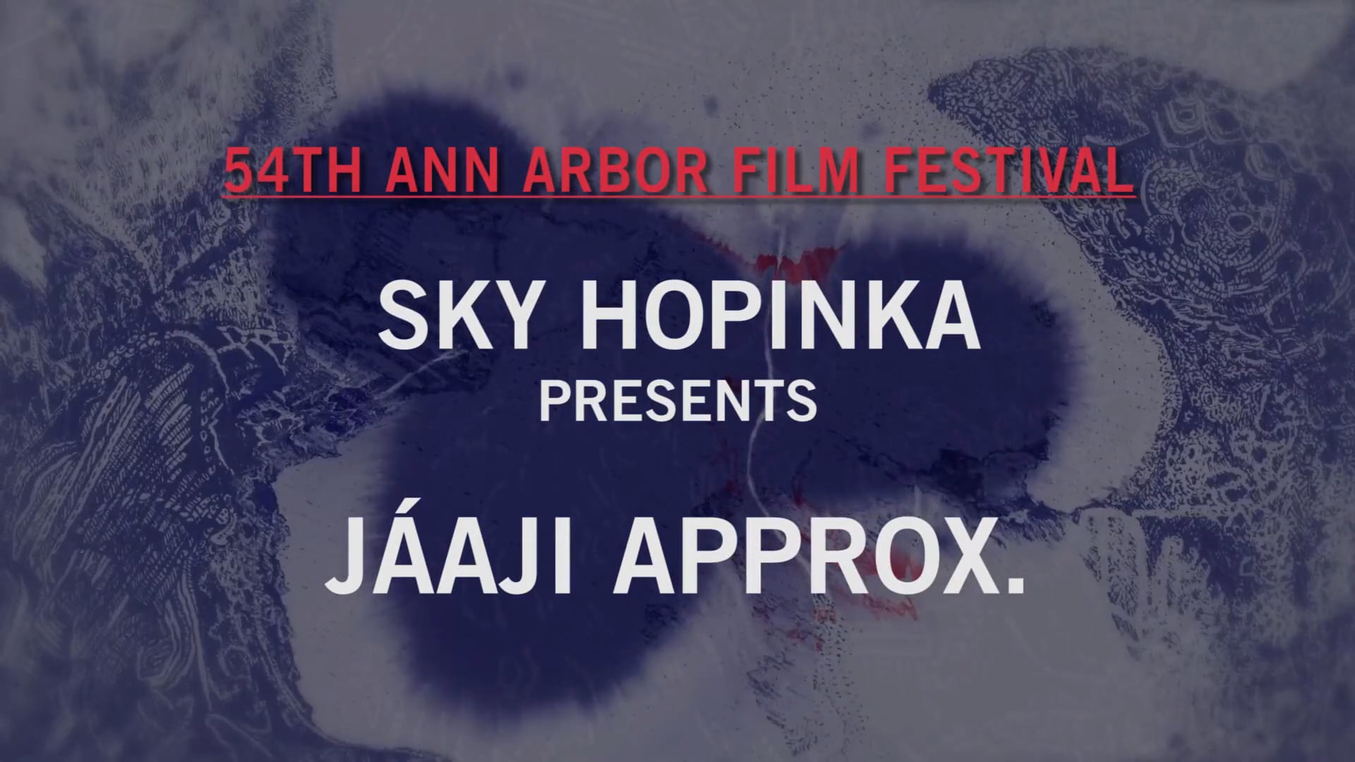 54AAFF: Sky Hopinka