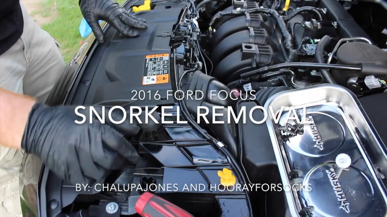 Snorkel Delete on Vimeo