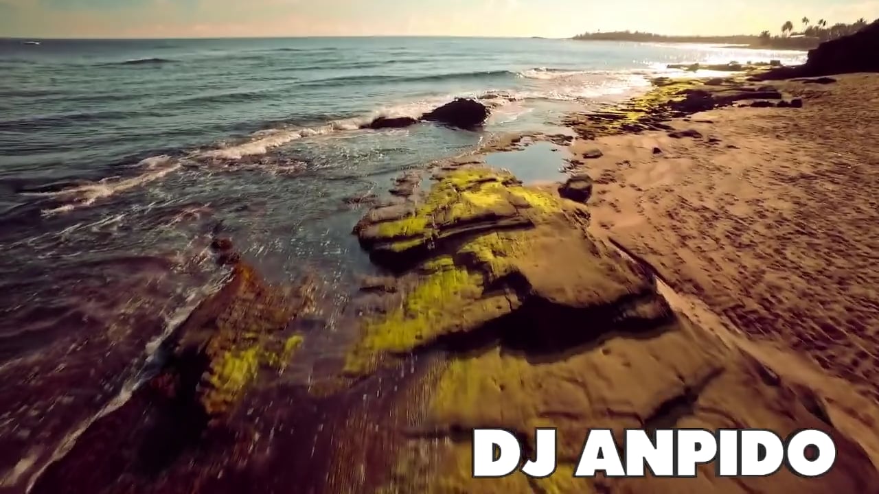 Dj AnpidO - Reggaeton Video Mix 2016 On Vimeo