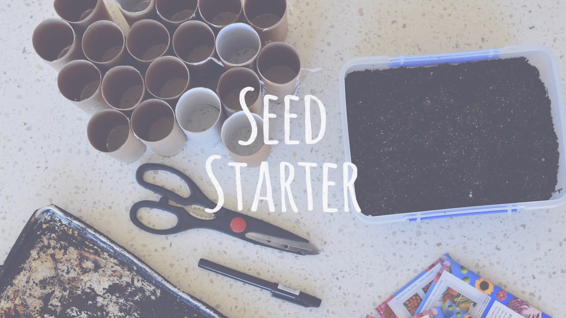 Seed Starter - Make the most out of your toilet rolls