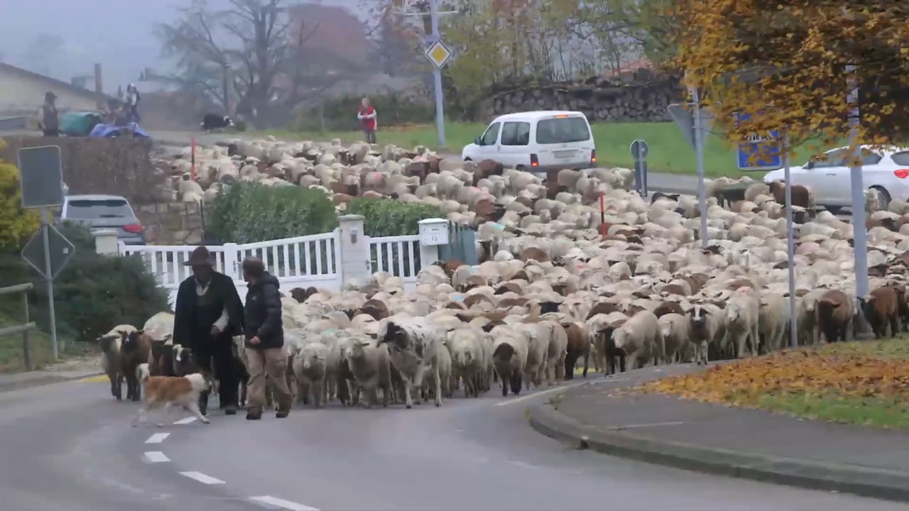 Sur les chemins de l'école buissonnière
