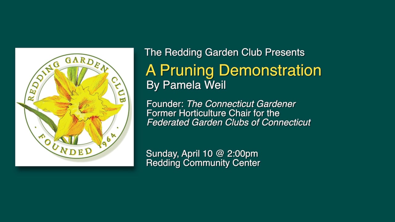 A Pruning Demonstration by Pamela Weil