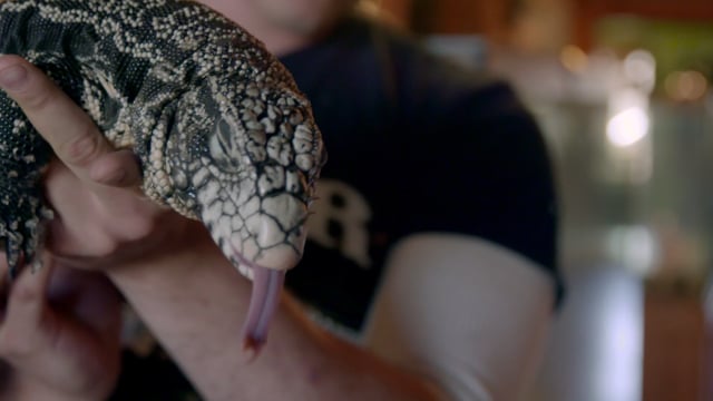Related Embedded Video Item Thumbnail