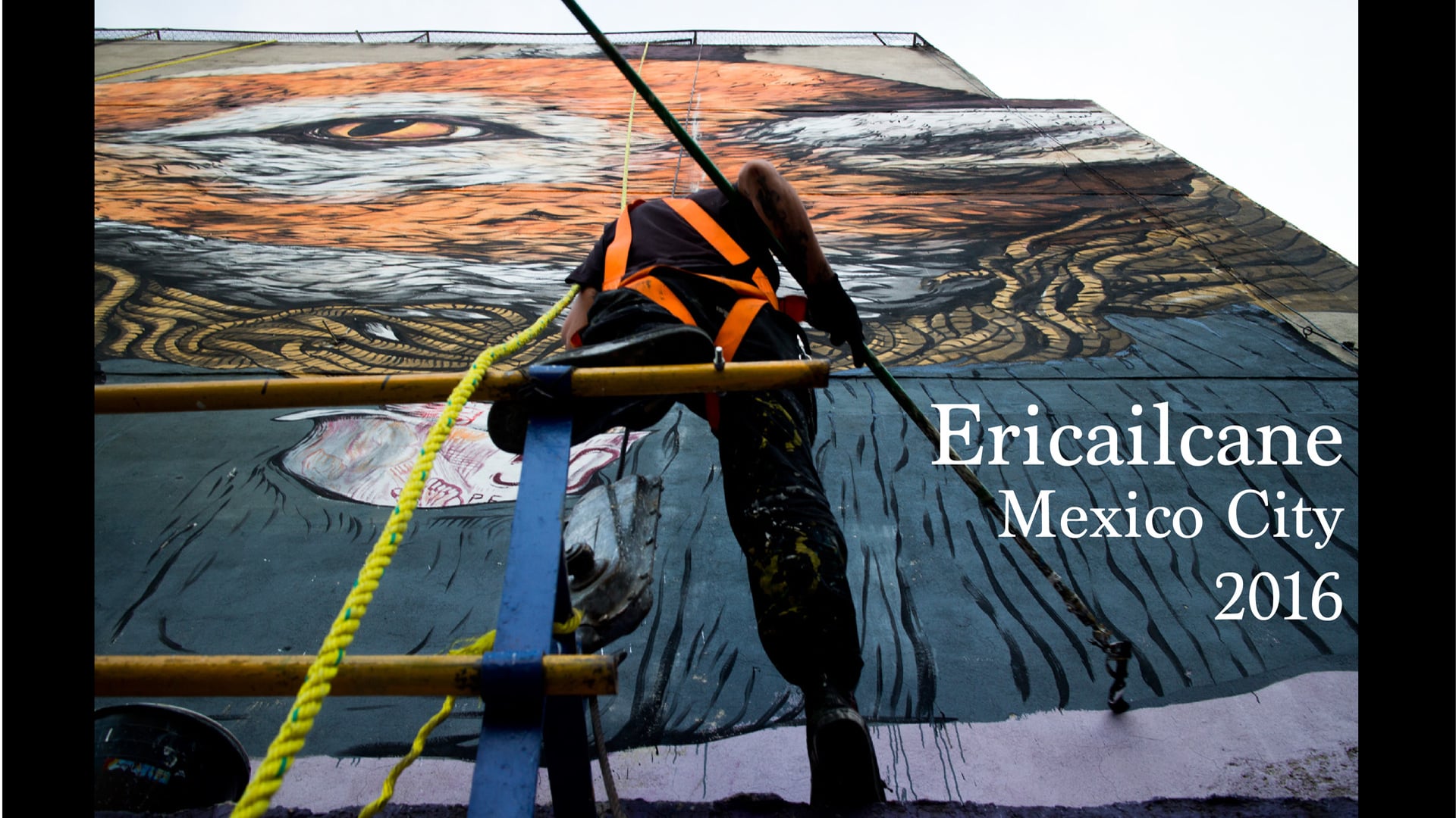 ERICAILCANE / Mexico City / 2016