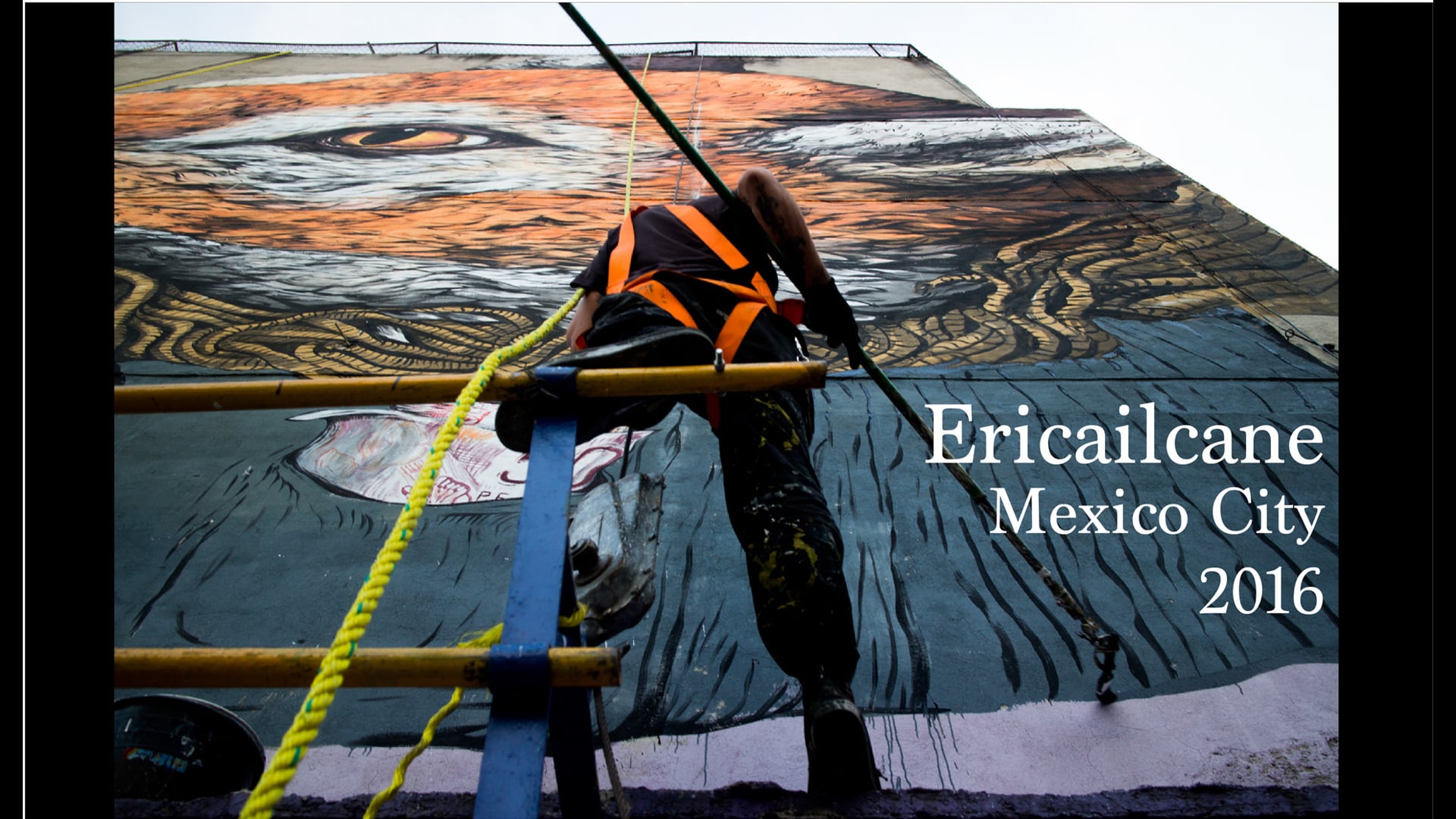 ERICAILCANE / Mexico City / 2016