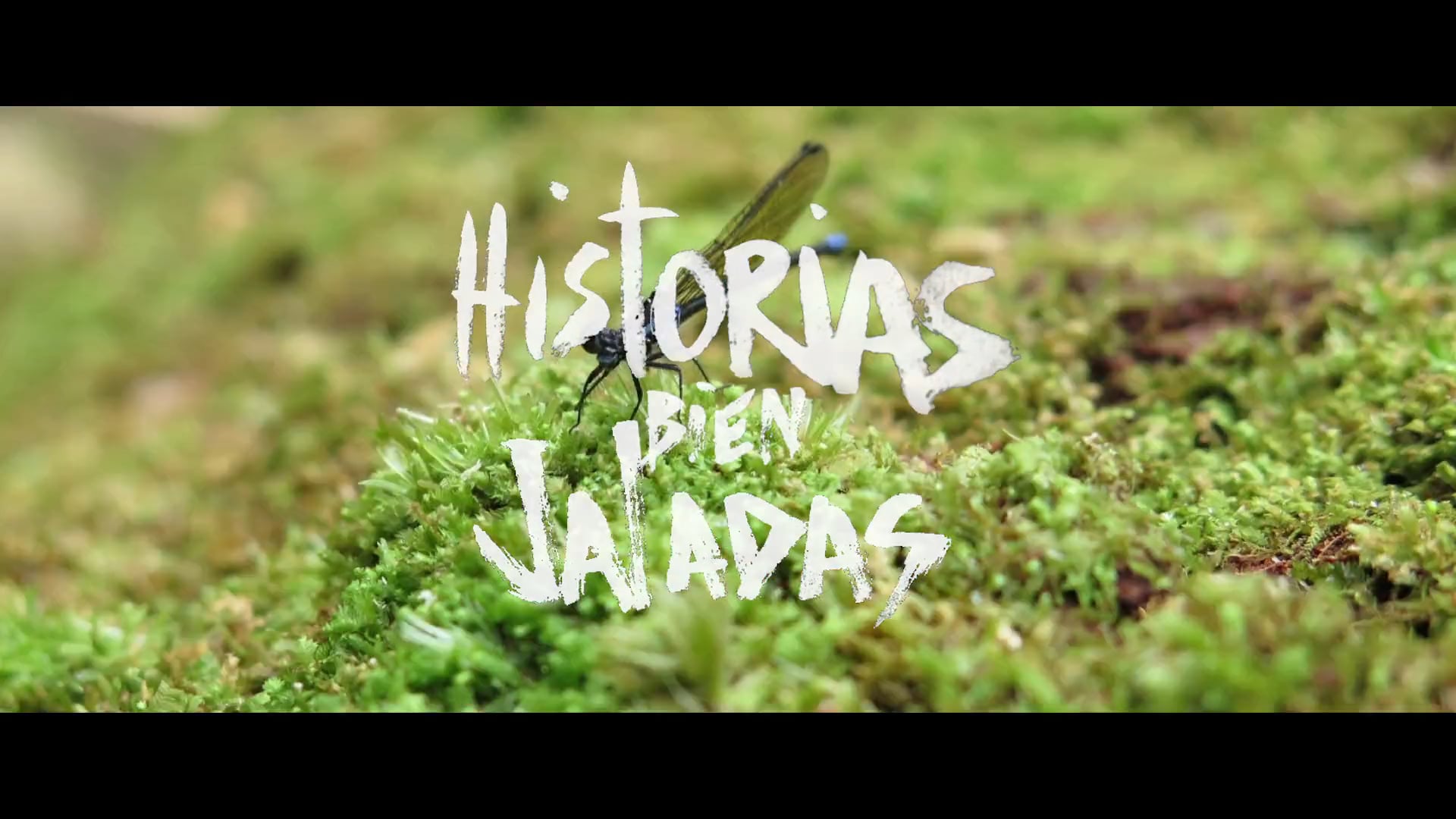 Historias Bien Jaladas