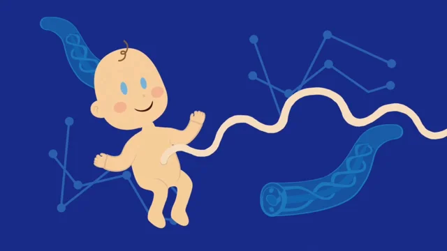 umbilical cord cartoon