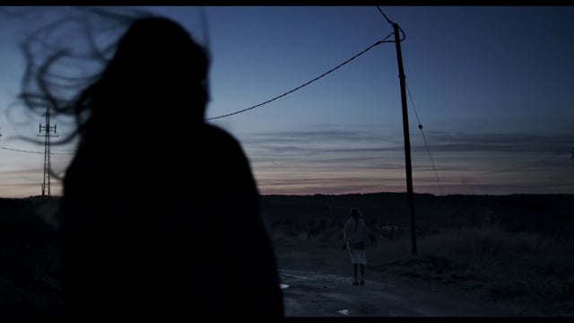 Ноќта на сите нешта (The Night of All Things, 2016)