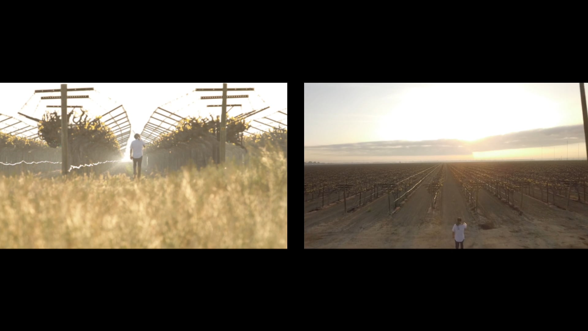 Cesar Chavez Foundation "50th Anniversary Tribute Video"