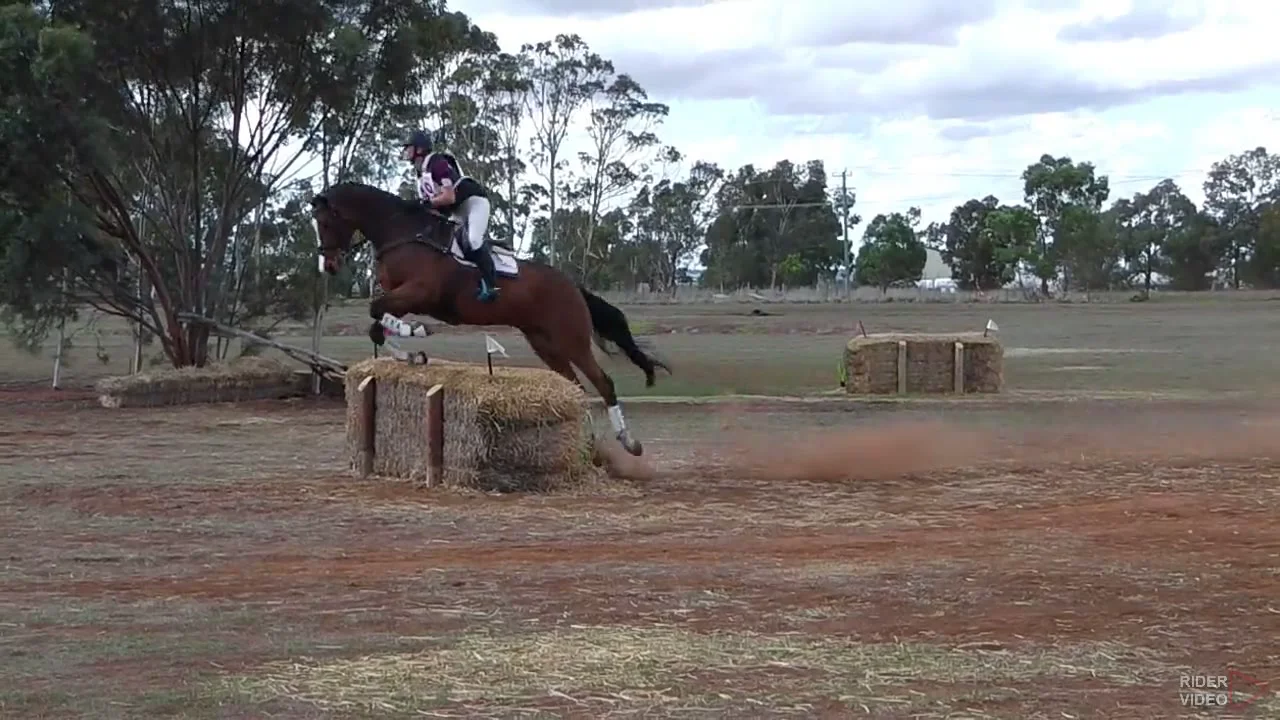 Beth Collins riding RIVERBREEZE 49 Grade 2 PCAV State Championships 2016