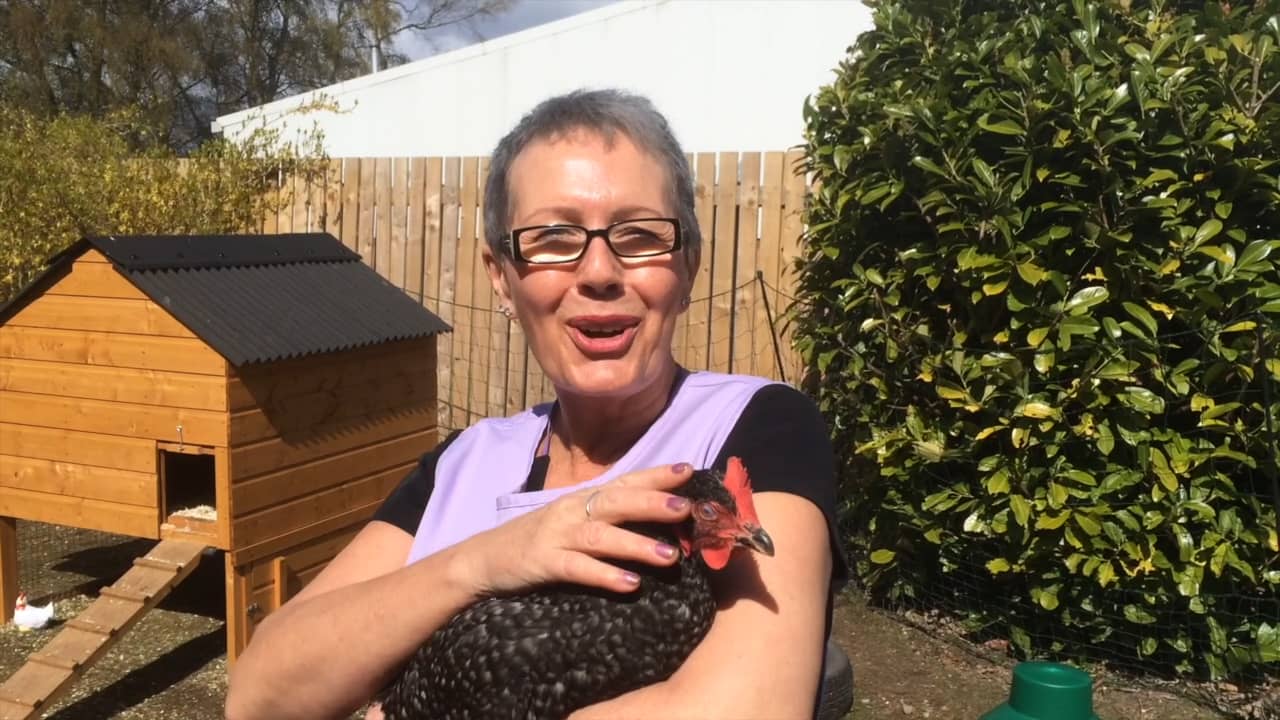 Henpower Launch at Clipstone Hall & Lodge, Nottingham on Vimeo