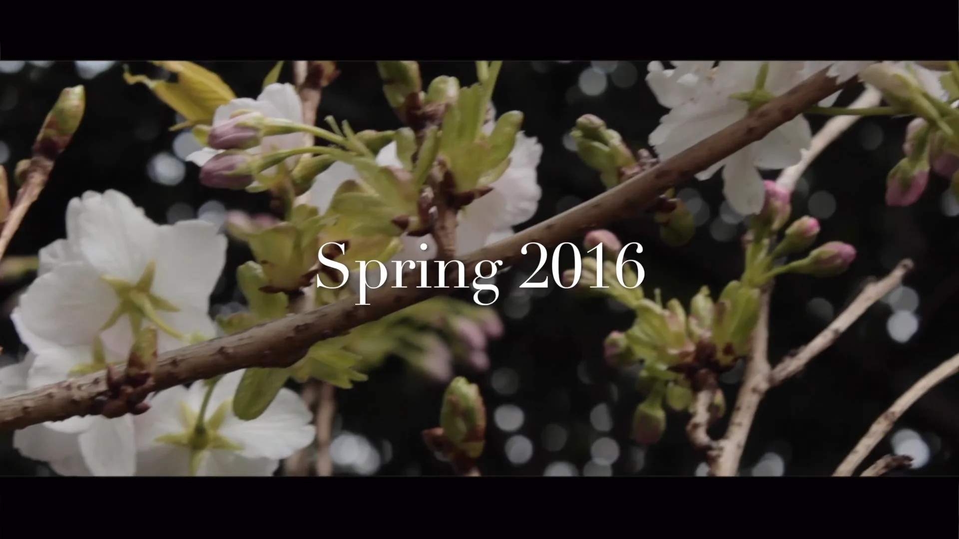 Spring 2016 on Vimeo