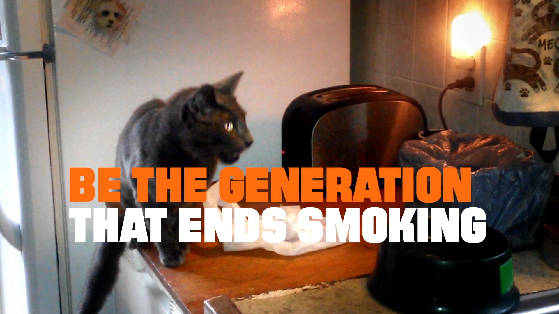 Truth - Catmageddon - :30