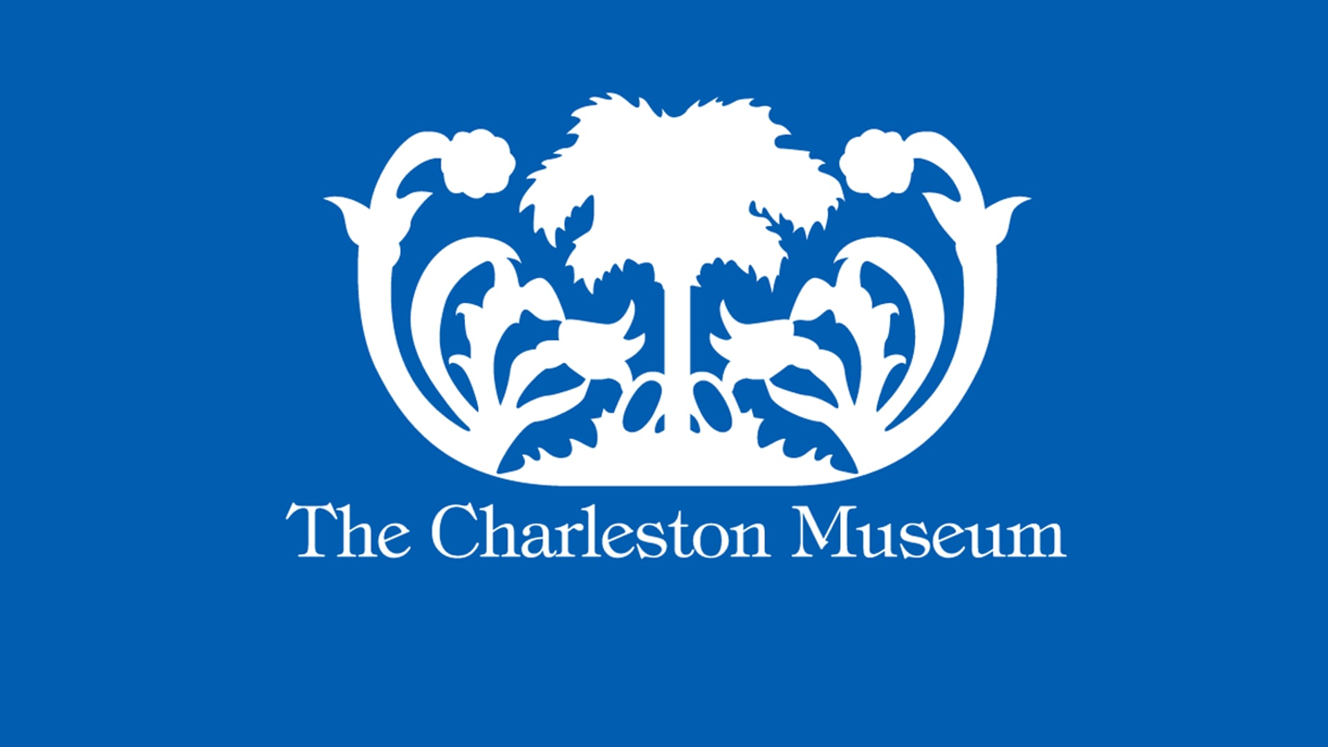 Fundraising - The Charleston Museum