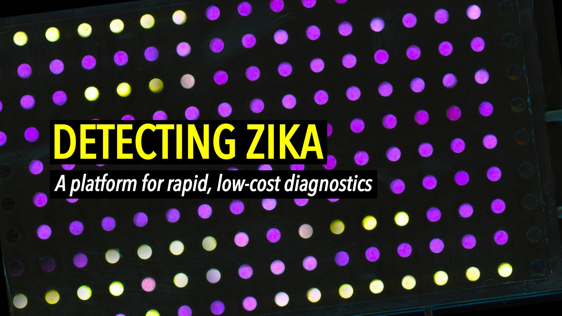 Detecting Zika: A platform for rapid, low-cost diagnostics