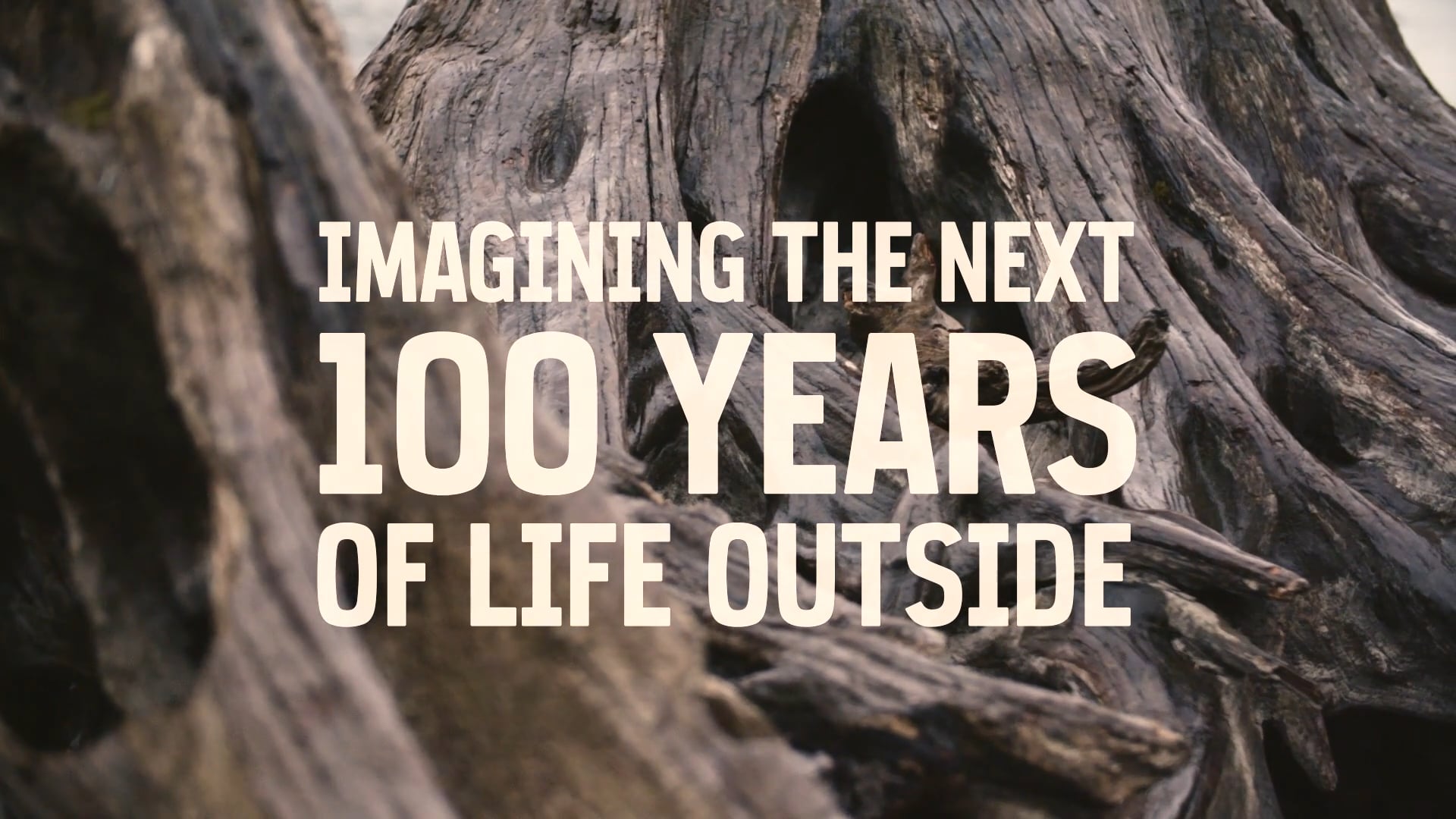 REI: 100 Years