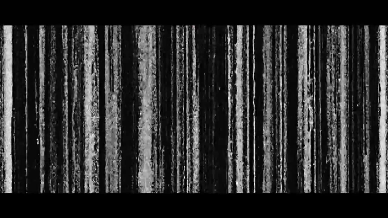 The Life Zone Trailer On Vimeo