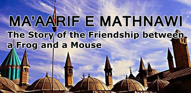 16 Rumi Mathnawi - The Story of the Friendship between a Frog and a ...