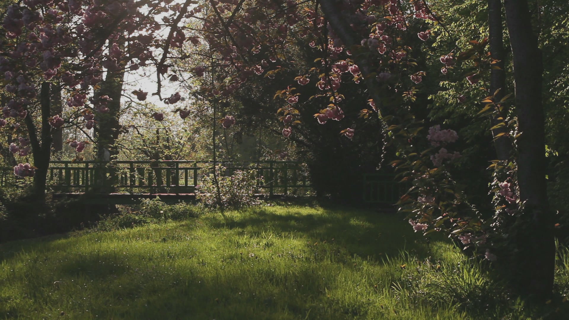 MARINE BRION DP SHOWREEL