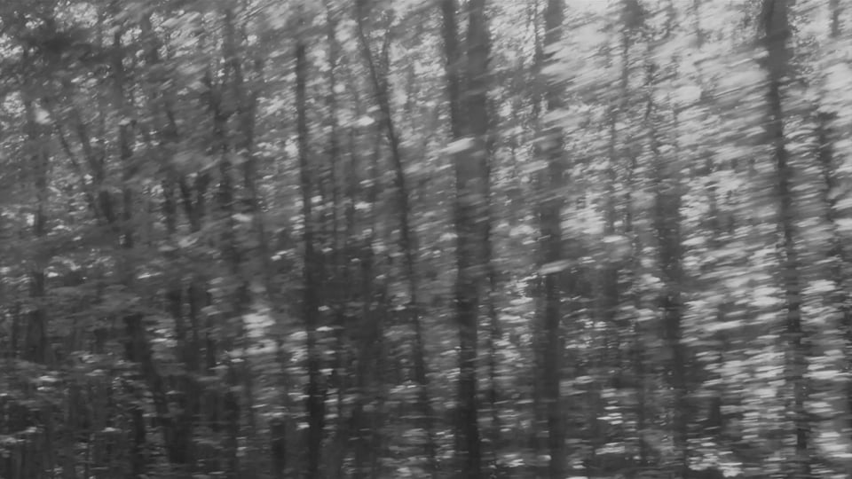 Dynamique de la pénombre (Half light dynamics)