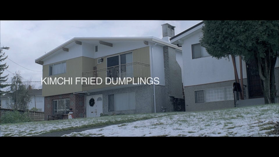 Kimchi Fried Dumplings