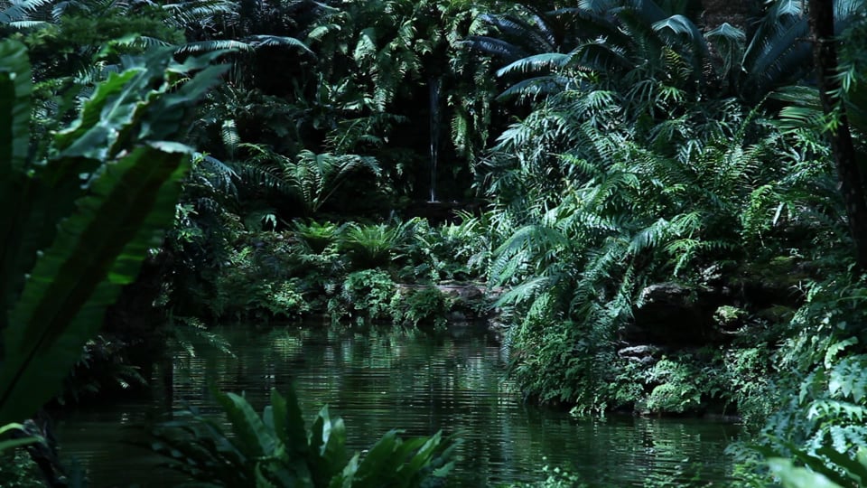 Une Terre familière